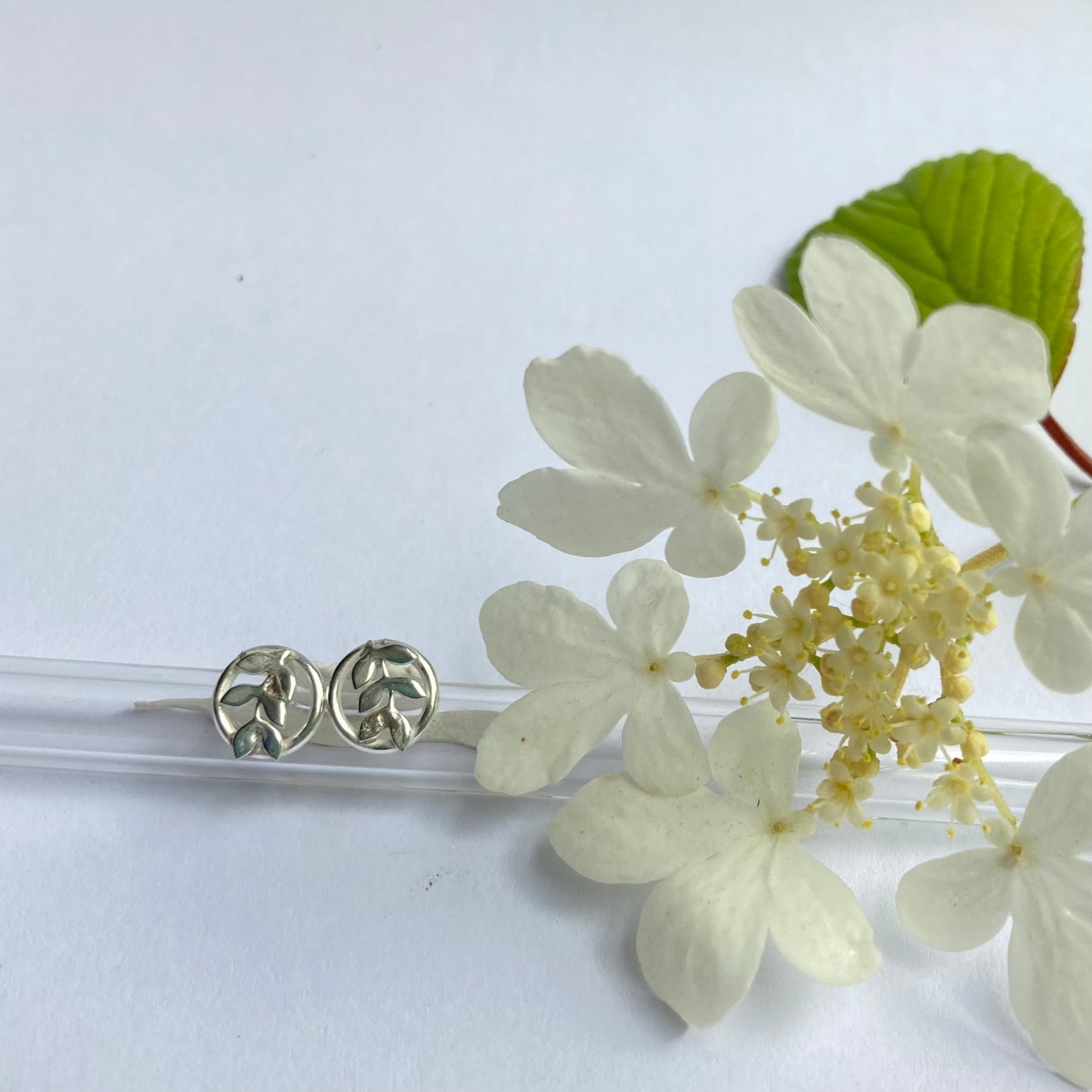 Botanical Circular Stud Earrings