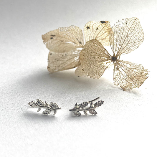 Oak Leaf Sterling Silver Ear Climbers